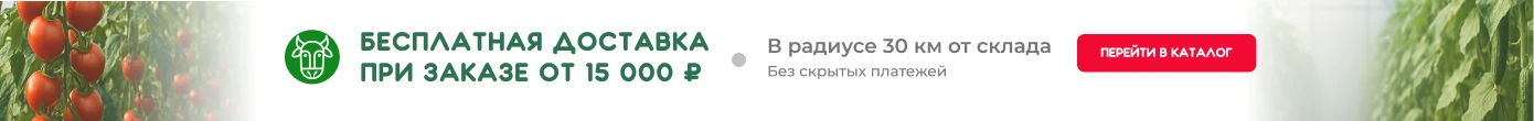 Бесплатная доставка