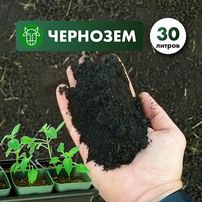 Чернозем чистый без примесей в мешках 30л.