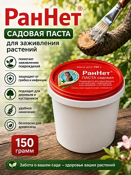 Раннет