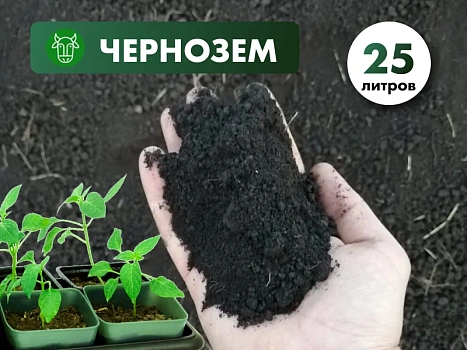 Чернозем чистый без примесей
