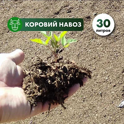 Коровий навоз прелый в мешках 30л.