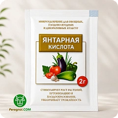 Янтарная кислота